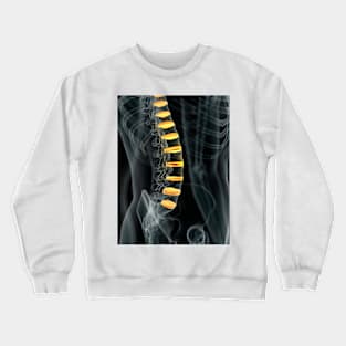 Human spinal intervertebral discs (F011/7098) Crewneck Sweatshirt